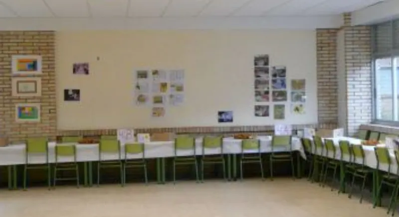 CEIP Rosalía de Castro - Colegio público en Xinzo de Limia - foto 2
