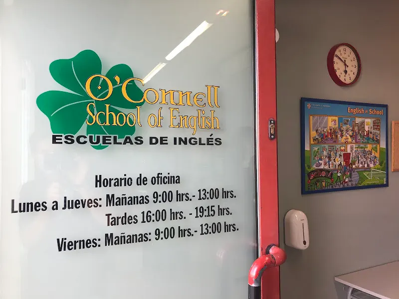 I.E.S. Alfonso Moreno - Instituto de secundaria en Brunete - foto 3