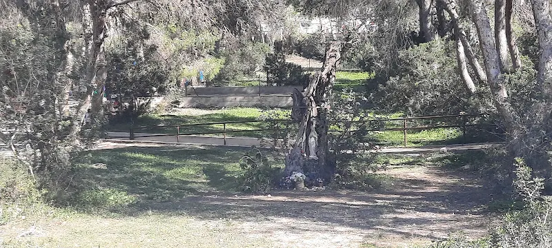 Guarderia PÚBLICA - Guardería en Callosa dEn Sarria - foto 2