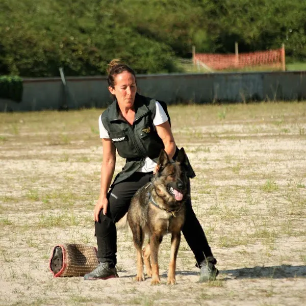 Residencia Canina CísterCan | Adiestramiento canino - Cisterniga