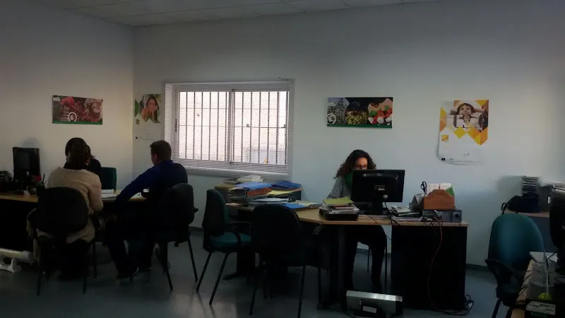 Vuela Guadalinfo Hinojosa del Duque - Centro educativo en Hinojosa del Duque - foto 3