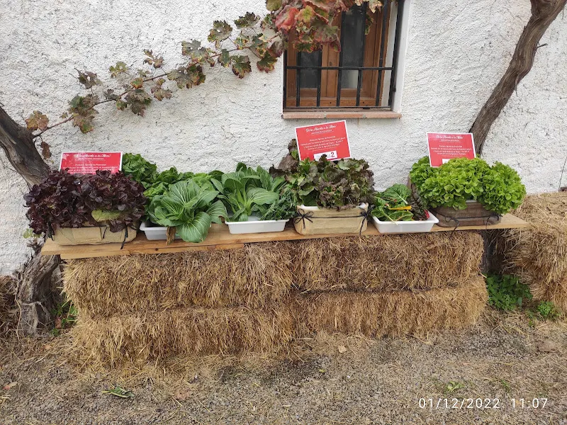 Jardin Botánico de Órgiva - Centro educativo en Orgiva - foto 2