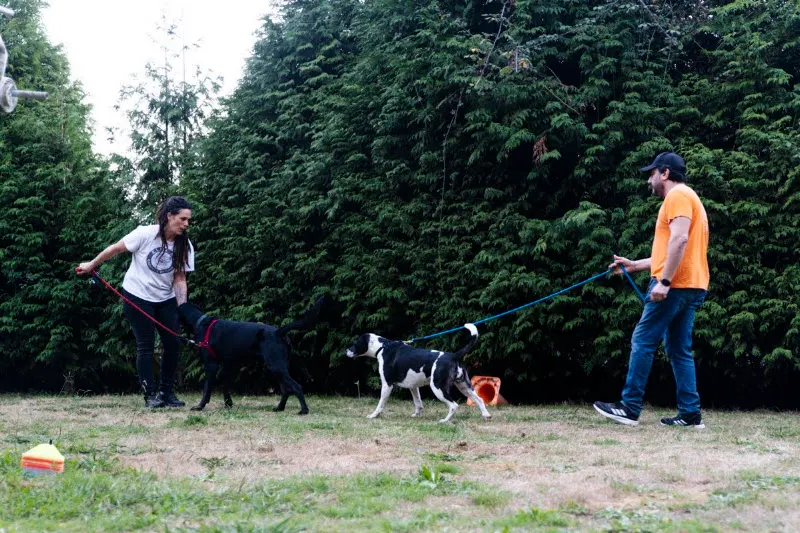 Eloa k9 Escuela Canina - Vilarmaior