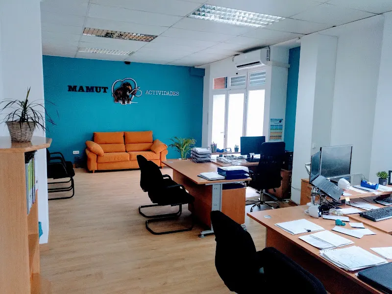 Mamut Actividades