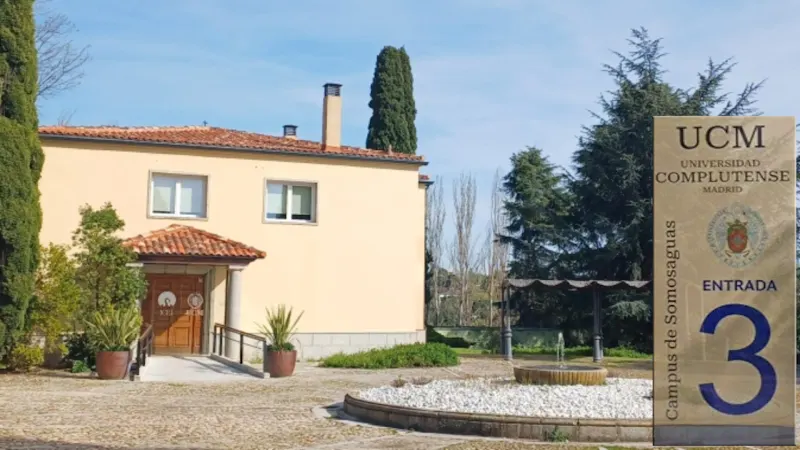 Instituto Complutense de Estudios Internacionales (ICEI)