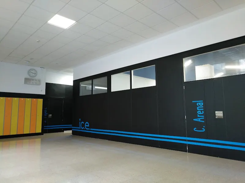 Instituto de Ciencias de la Educación (ICE) UPM